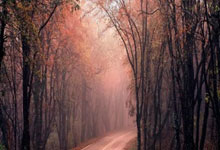 教你如何登录天涯论坛：简单教程