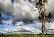 教你如何登录天涯论坛：简单教程