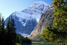 撸天涯论坛的乐趣：轻松上网闲逛（标题字数：10字）